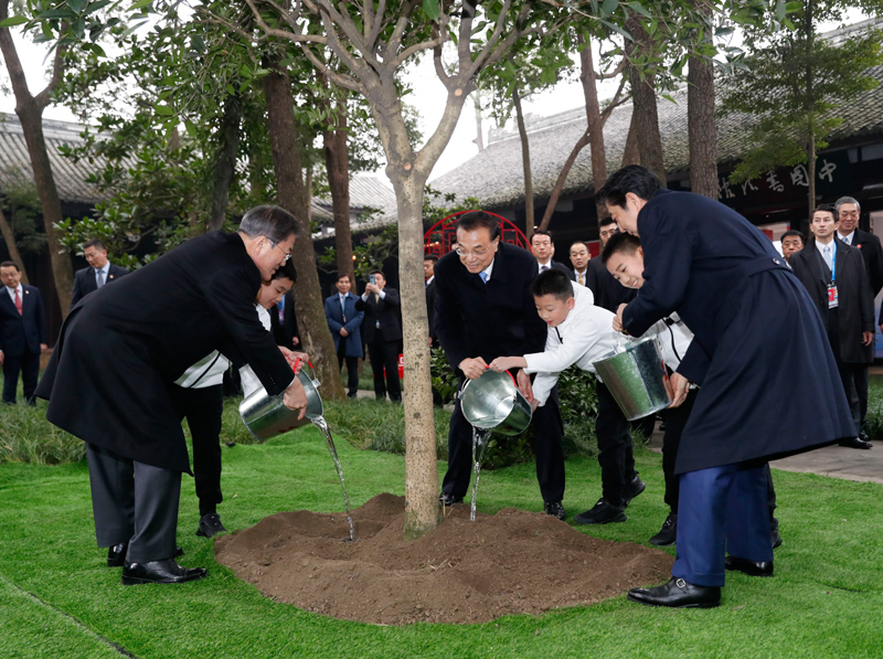 李克强与韩国总统文在寅、日本首相安倍晋三共同出席中日韩合作20周年纪念活动