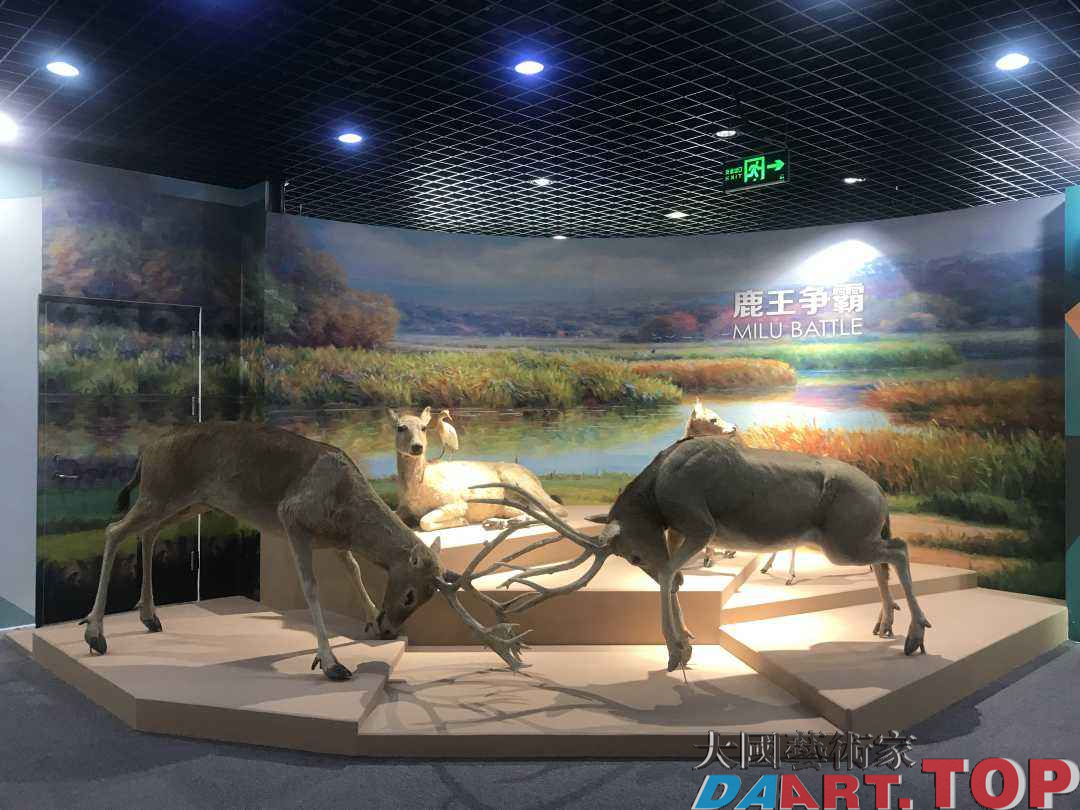 麋鹿的前世今生——第二届北京(国际)麋鹿文化大会在大兴举办 麋鹿的前世今生——第二届北京(国际)麋鹿文化大会在大兴举办